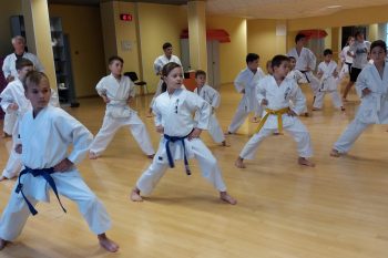 Общая тренировка “Фуцу-гэйко” СКК “Нисикава-додзё” 27 октября 2018 г.