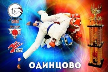 Открытый традиционный Фестиваль по боевым искусствам стилевого каратэ, 23 февраля 2020 г.