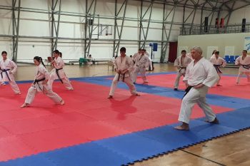 Тренировочный сбор кандидатов в  сборную команду РФ по всестилевому каратэ 15 – 25 декабря 2020 г.