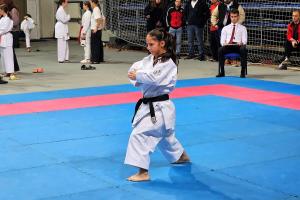 Чемпионат Московской области и региональные соревнования по всестилевому каратэ 18.10.2025